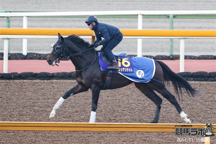 池江泰寿調教師