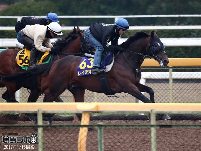 C.ルメール騎手が感触を確かめたレイデオロ