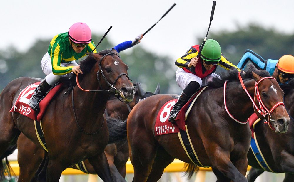サイン競馬番外 東京大賞典サイン攻略1: JRA ...